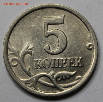 пятачки нечастые и просто блестящие Оценка - 5к 007