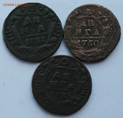 Денга 1735; 1737; 1750 года до 19.12.2014 - IMG_3874.JPG