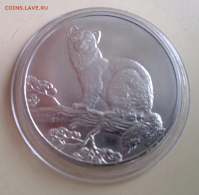3 рубля Соболь 1995 - IMG_20141214_134952-1