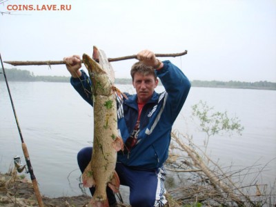 СТРАНИЧКА РЫБАКА - DSC02604.JPG