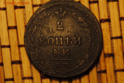 Уставшие тетерев и пчёлка две двушки 1810 КМ и 1810 ЕМ НМ - _CSC0627[1].JPG