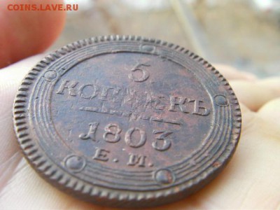 5 копеек 1803 ем до 17.12.14 22-00 по МСК - SANY2852.JPG