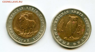 КК-1991: Рыбный филин и Винторогий козел до 18.12.14 22:00 - КК_91_р813