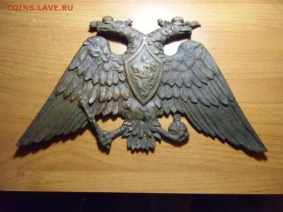 Большой орёл на опознание и оценку. - CIMG6609.JPG