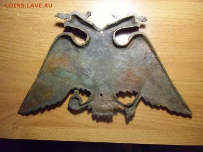 Большой орёл на опознание и оценку. - CIMG6611.JPG