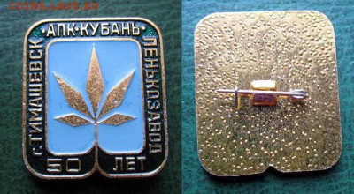  до 20 дек 21.00 - Выращивание конопли в г. Тимашевск = старт 300.JPG