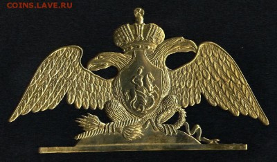Большой орёл на опознание и оценку. - post-19-1380227667