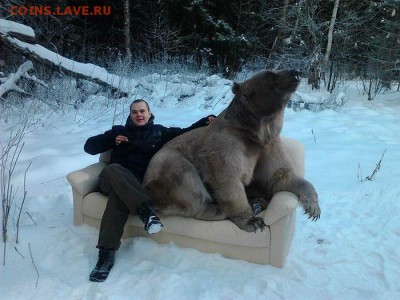 делает - прямо сейчас !!! - getImage