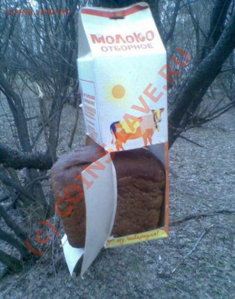 юмор - россия - щедрая душа