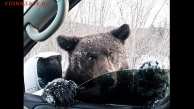 делает - прямо сейчас !!! - image