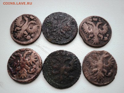 Монеты денга и полушка 1731-1749 гг - DSC07534.JPG