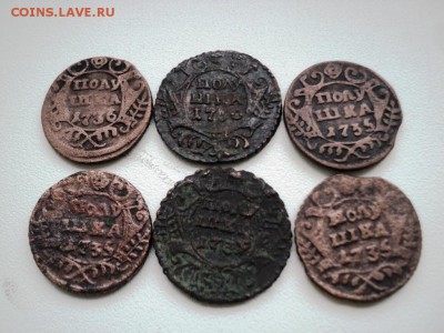 Монеты денга и полушка 1731-1749 гг - DSC07533.JPG