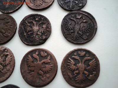 Монеты денга и полушка 1731-1749 гг - DSC07532.JPG