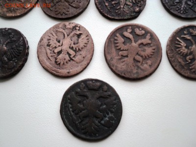 Монеты денга и полушка 1731-1749 гг - DSC07531.JPG