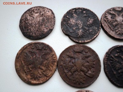 Монеты денга и полушка 1731-1749 гг - DSC07530.JPG