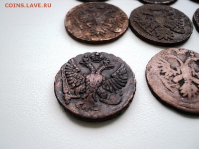Монеты денга и полушка 1731-1749 гг - DSC07529.JPG