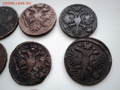 Монеты денга и полушка 1731-1749 гг - DSC07527.JPG