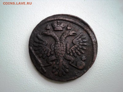 Монеты денга и полушка 1731-1749 гг - DSC07538.JPG