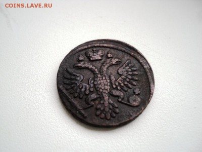 Монеты денга и полушка 1731-1749 гг - DSC07537.JPG