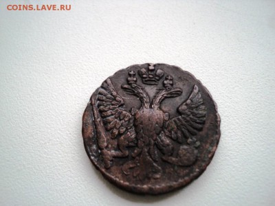 Монеты денга и полушка 1731-1749 гг - DSC07552.JPG