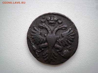 Монеты денга и полушка 1731-1749 гг - DSC07549.JPG