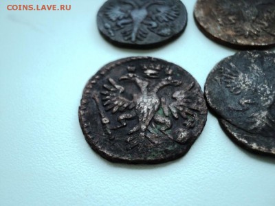 Монеты денга и полушка 1731-1749 гг - DSC07544.JPG