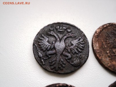 Монеты денга и полушка 1731-1749 гг - DSC07543.JPG
