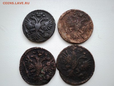 Монеты денга и полушка 1731-1749 гг - DSC07542.JPG