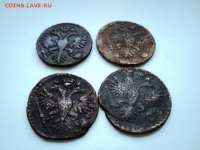 Монеты денга и полушка 1731-1749 гг - DSC07541.JPG
