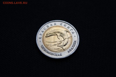 ЧЕРНОМОРСКАЯ АФАЛИНА Красная книга 1993 год До 24.12.14 - IMG_5777.JPG