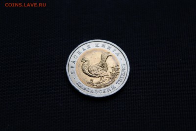 КАВКАЗСКИЙ ТЕТЕРЕВ Красная книга 1993 год До 24.12.14 - IMG_5787.JPG
