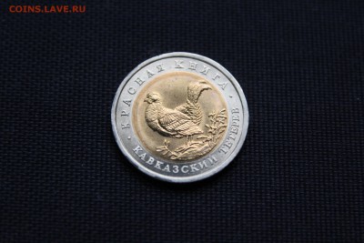 КАВКАЗСКИЙ ТЕТЕРЕВ Красная книга 1993 год До 24.12.14 - IMG_5785.JPG