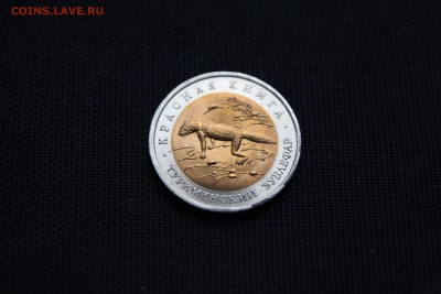 ТУРКМЕНСКИЙ ЗУБЛЕФАР Красная книга 1993 год До 24.12.14 - IMG_5782.JPG
