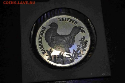 1 Рубль 1995г. Кавказский тетерев - DSC_0441_1 (Копировать)