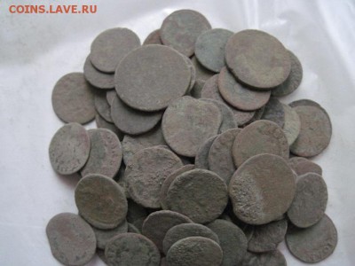 боратинки Речь Посполитая нечищенные 100 шт. до 24.12.14 - IMG_0117.JPG