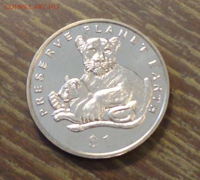 ЭРИТРЕЯ - ЛЬВИЦА со львенком до 28.12, 22.00 - Эритрея львица со львенком - 1