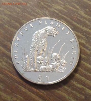 ЭРИТРЕЯ - ГЕПАРД с детенышами о 28.12, 22.00 - Эритрея гепард с детенышами - 1