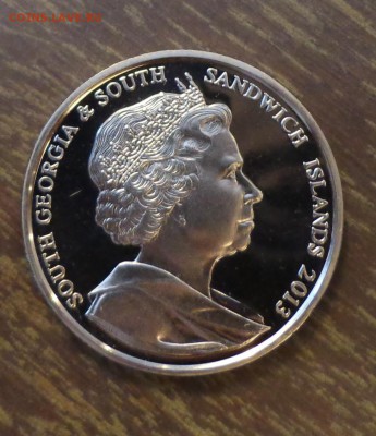 Ю.Георгия и Ю.Сэндвичевы о-ва - ГРУСТНЫЙ МОРЖ 28.12, 22.00 - Ю.Георгия - морж 1