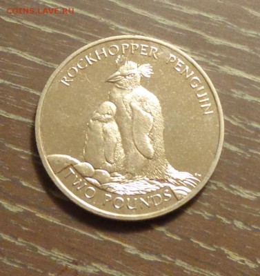 Ю.Георгия и Ю.Сэндвичевы о-ва - ПИНГВИНЫ до 28.12, 22.00 - Юж. Джорджия и Юж. Сандвичевы - пингвины 1