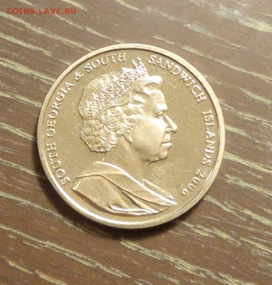 Ю.Георгия и Ю.Сэндвичевы о-ва - ПИНГВИНЫ до 28.12, 22.00 - Юж. Джорджия и Юж. Сандвичевы - пингвины 2