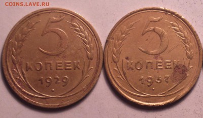 5к29 и 5к37 средней паршивости-бюджетно-до 26 12 14 22 22 - 5 29 37_cr_cr