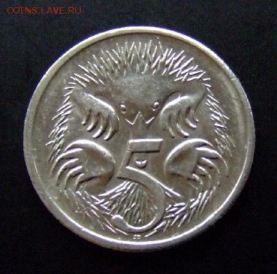 3 - Австралия 5 центов (2003) «Ехидна; Елизавета тип.№3» Р