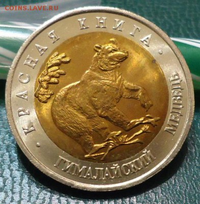 КК Гималайский медведь. 50рублей 1993г. - DSC05754.JPG