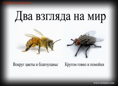 Новосибирск - третий город РФ - 197603_239880859471526_1524463569_n