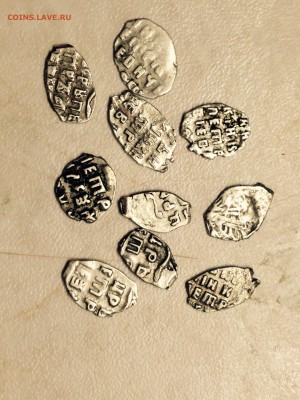 Чешуя 20 шт до 26.12.14 22.02 - image