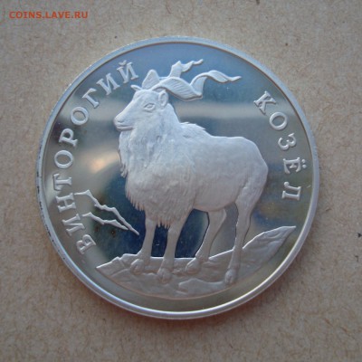 1 РУБЛЬ 1993г. "Винторогий КОЗЁЛ". До 29.12.14 22:30 МСК - козел1.JPG