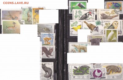 Обменяю марки. - +1Марки-Фауна-СССР