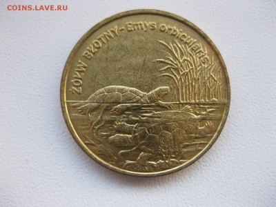 ПОЛЬША,2 злотых 2002 г(черепаха)!до 26.12.2014 - IMG_0936.JPG