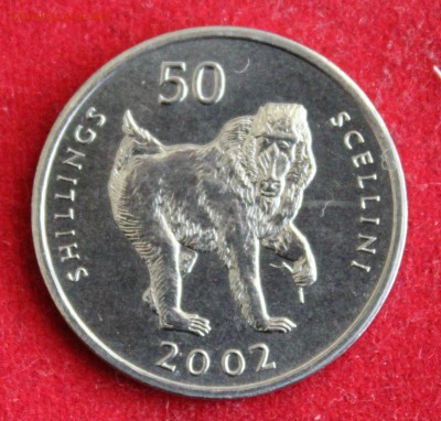 С 1 руб. СОМАЛИ 50 шиллингов 2003г.ОБЕЗЬЯН до 30.12.14г.в 22 - IMG_3066.JPG