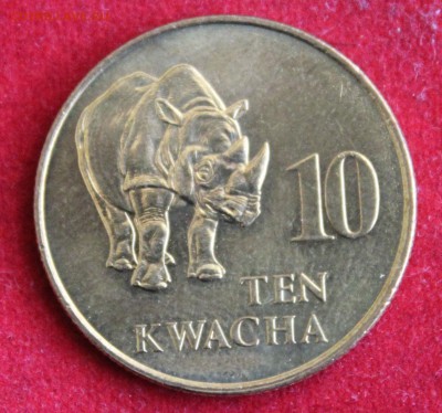 С 1 руб.ЗАМБИЯ 10 квача  1992г. НОСОРОГ до 30.12.14г.в 22-00 - IMG_3056.JPG